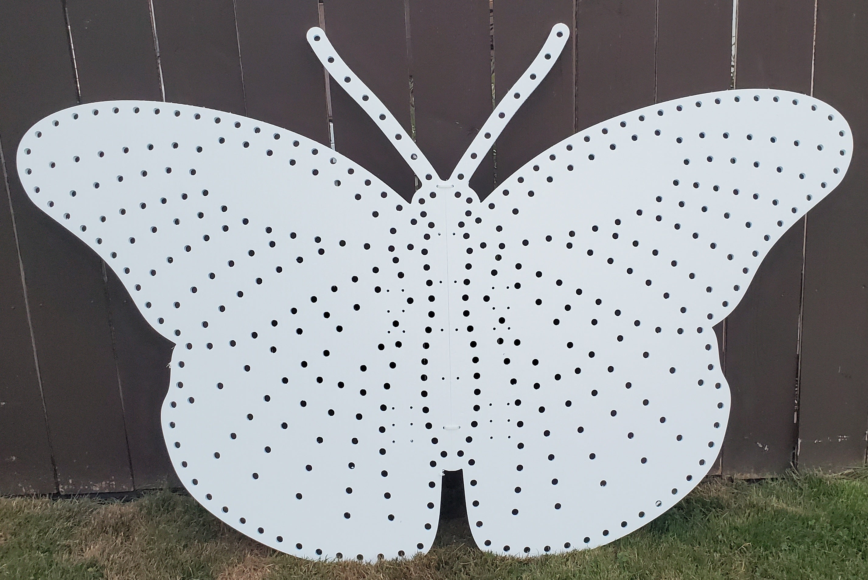 Butterfly - 36 Tall, 56 Wide, 400 pixels