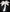 Palm Tree - 5.5', 250 pixels