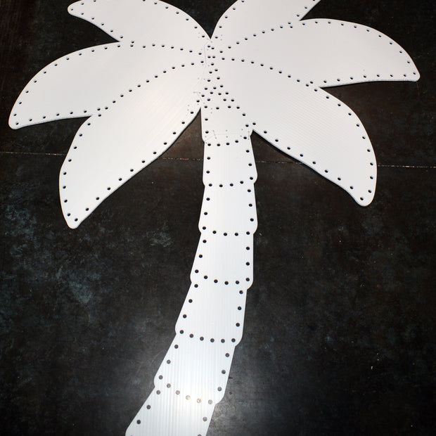 Palm Tree - 5.5', 250 pixels