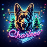 Charlees Props logo