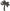 Palm Tree - 5.5', 250 pixels